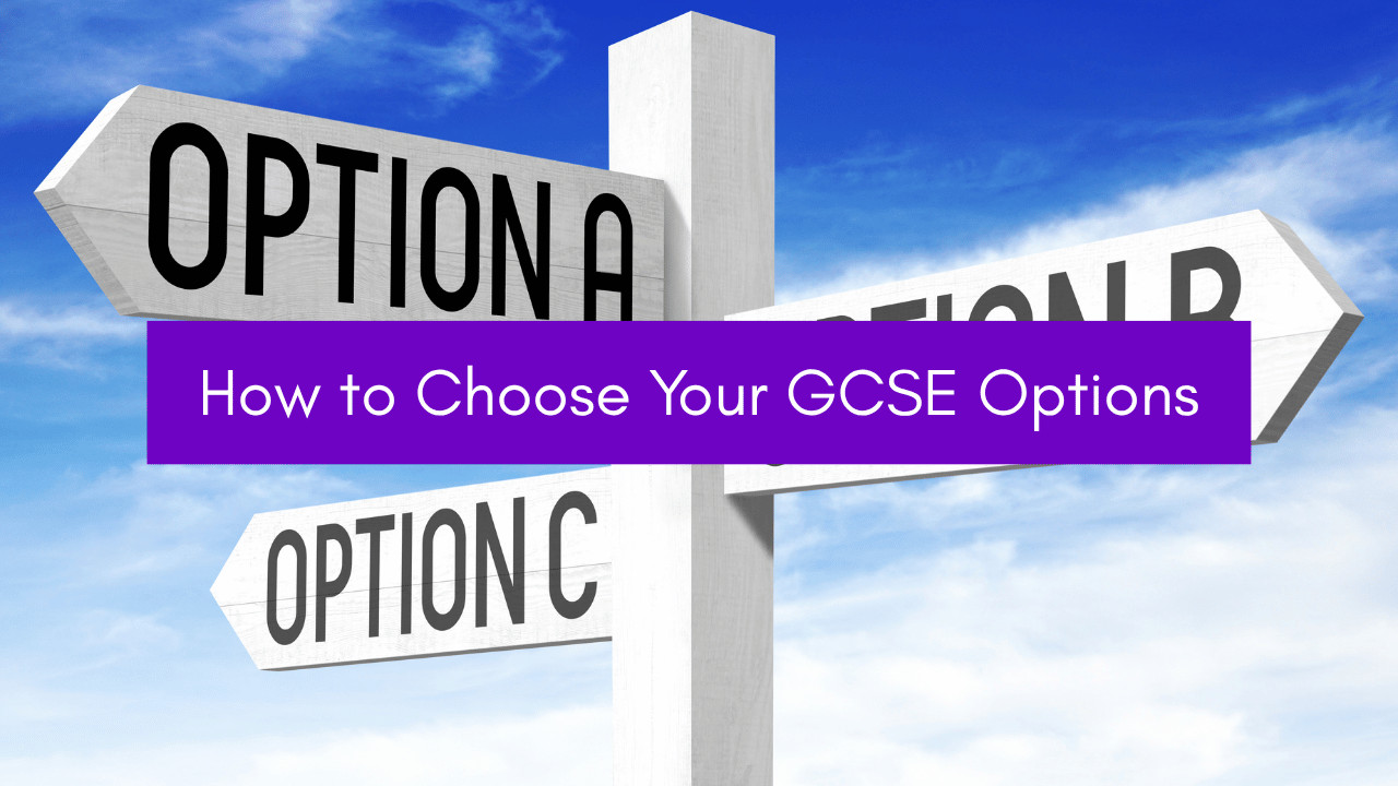gcse options